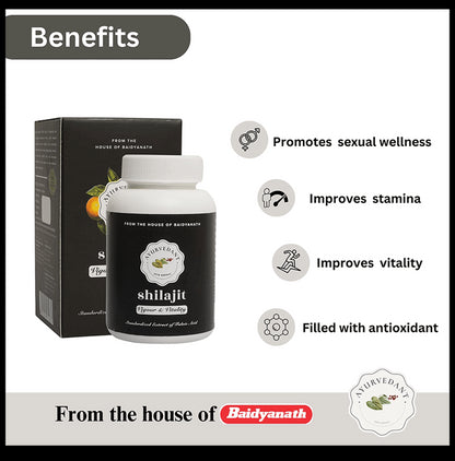 Ayurvedant Shilajit Capsule