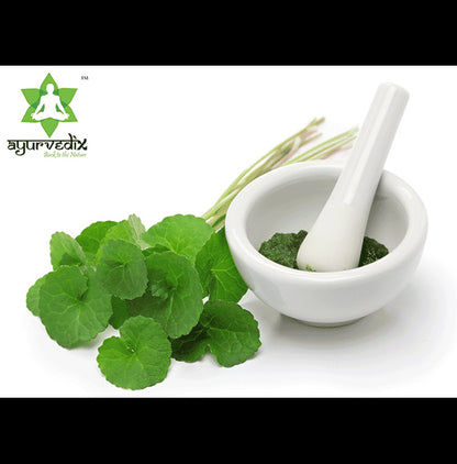 Ayurvedix Gotu Kola Powder