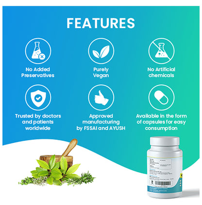 AyurZen Capsule (60 Each)