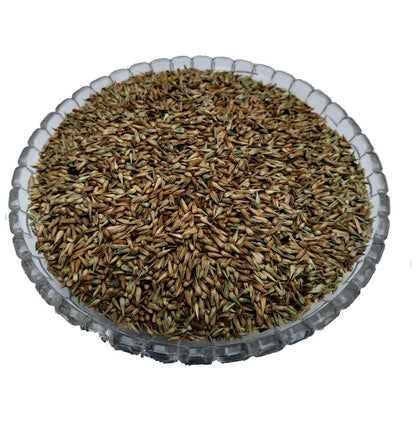 Azamdeal Apamarg Beej