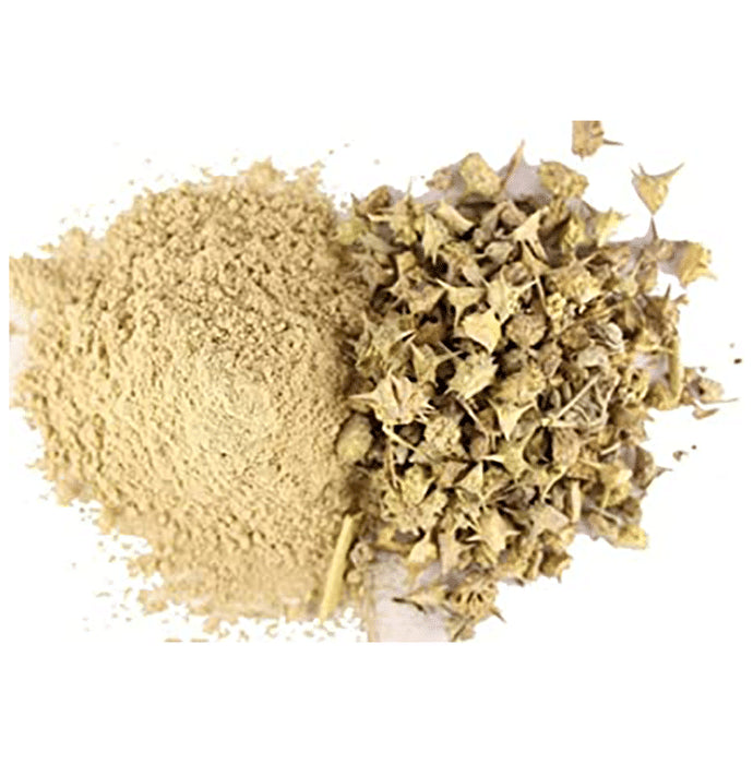 Azamdeal Bada Gokhru Powder