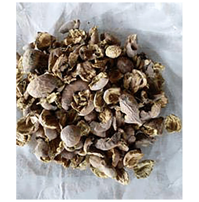 Azamdeal Baheda Chilka