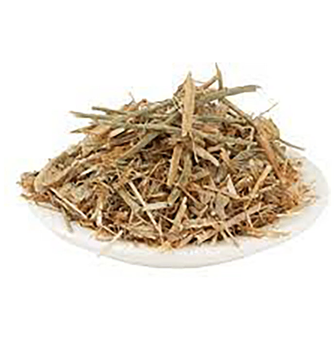 Azamdeal Brahm Dandi