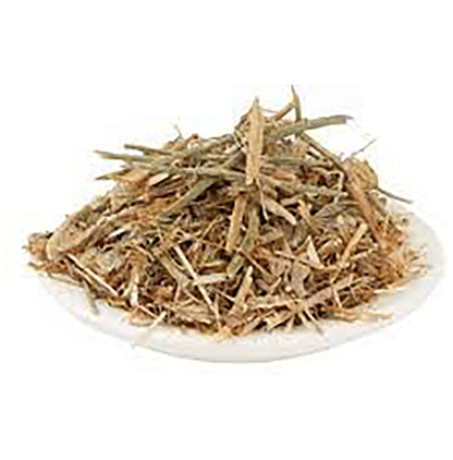 Azamdeal Brahm Dandi