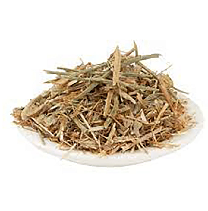 Azamdeal Brahm Dandi