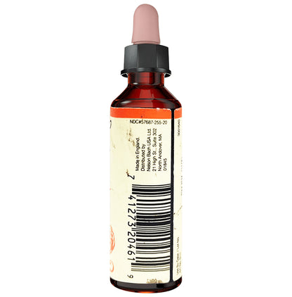 Bach Chery Plum Be in Control