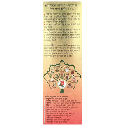 Baidyanath (Jhansi) Mahabhringraj Tel (100ml Each)