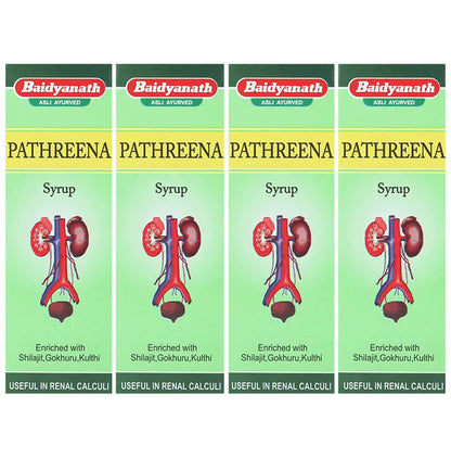 Baidyanath (Jhansi) Pathreena Syrup (200ml Each) - Classic Derma