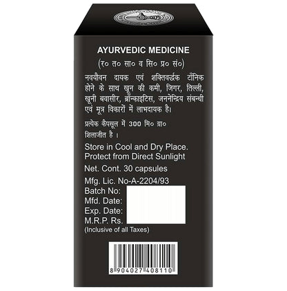 Baidyanath (Noida) Shodhit Shilajit Capsule