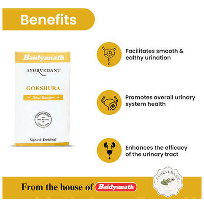 Baidyanath Ayurvedant Gokshura Tablet (60 Each)