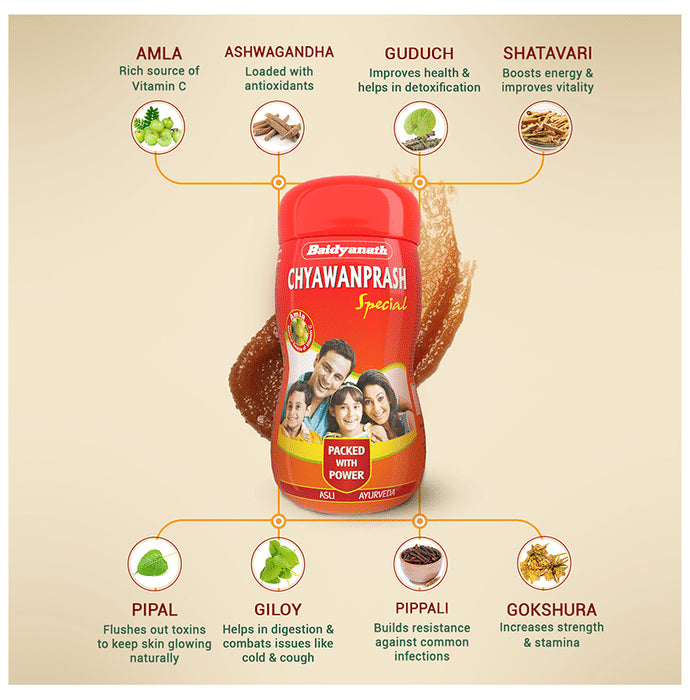 Baidyanath Chyawanprash Special Immunity Booster | For Strength & Stamina