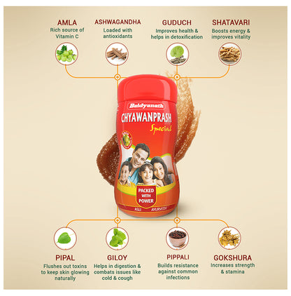 Baidyanath Chyawanprash Special Immunity Booster | For Strength & Stamina