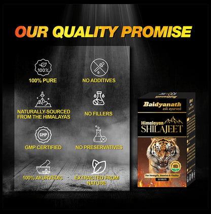 Baidyanath Himalayan Shilajeet Tablet | For Strength & Stamina