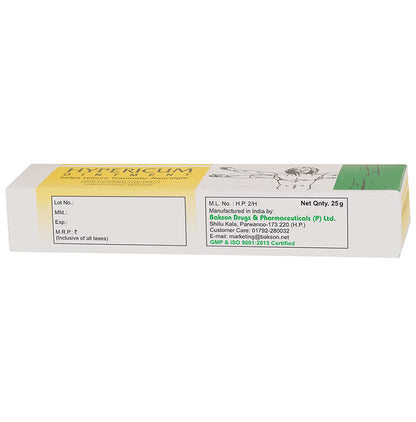 Bakson's Homeopathy Hypericum Ointment