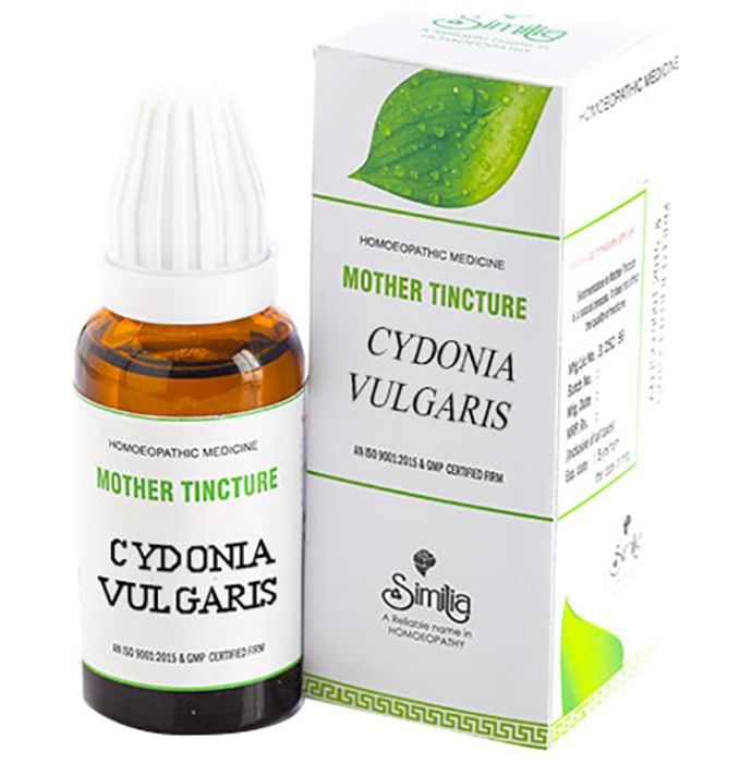 Similia Cydonia Vulgaris Mother Tincture Q - Classic Derma