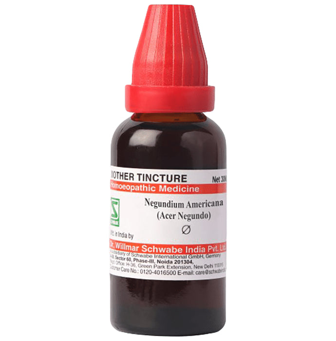 Dr Willmar Schwabe Germany Negundium Americana Mother Tincture Q - Classic Derma
