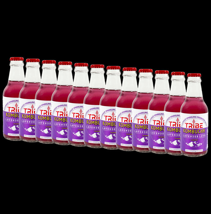 Tribe Kombucha Combo Pack of Naturally Sparkling Probiotic Drink Lavender Love (210ml Each) - Classic Derma
