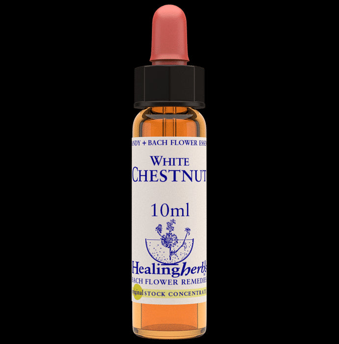 Healing Herbs Bach Flower White Chestnut - Classic Derma