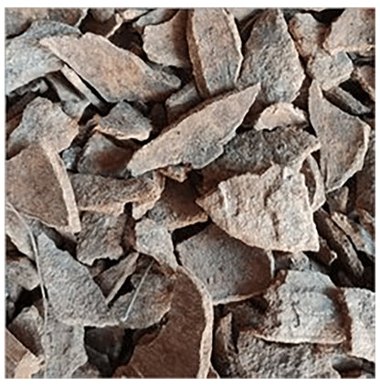 Azamdeal Gambhari Chaal