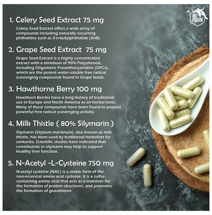 Bull Pharm Bull Support Total Organ Support Liver, Kidney & Heart Capsule