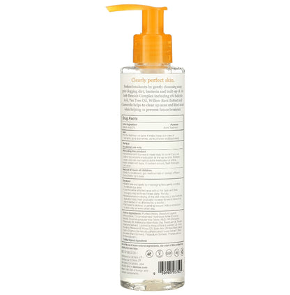Derma E Acne Deep Pore Cleansing Wash