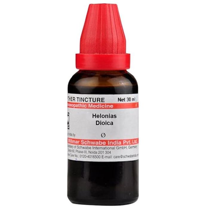 Dr Willmar Schwabe India Helonias Dioica Mother Tincture Q - Classic Derma