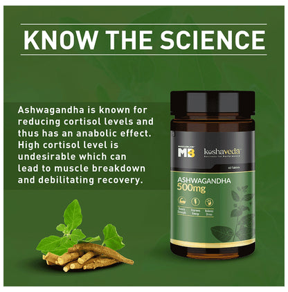 Muscleblaze Combo Pack of Koshaveda Ashwagandha Tablets 500mg (60) & Shilajit Pro Resin (20gm)
