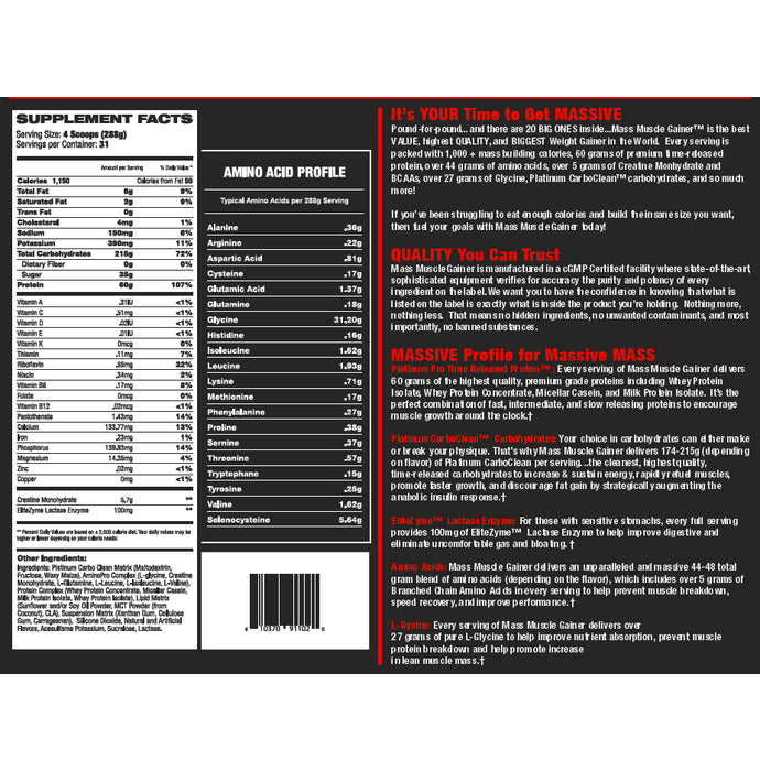 Elite Labs USA Mass Muscle Gainer Double Rich Chocolate