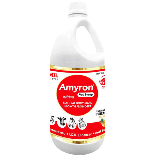 Aimil Pharmaceuticals Amyron Vet Syrup - Classic Derma