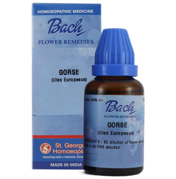 St. George’s Bach Flower Gorse 6 CH - Classic Derma