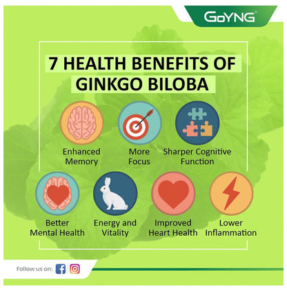 GoYNG Sx Ginkgo Biloba Tablet