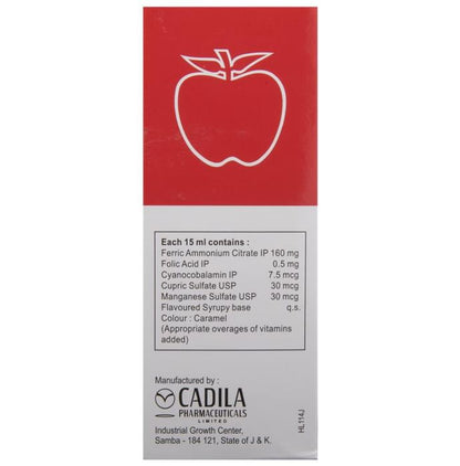 Haem UP Liquid | Iron Tonic Fortified with Folic Acid & Minerals | Sugar-Free