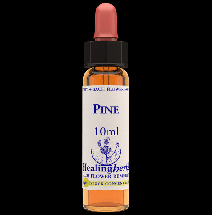 Healing Herbs Bach Flower Pine - Classic Derma