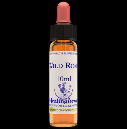 Healing Herbs Bach Flower Wild Rose - Classic Derma
