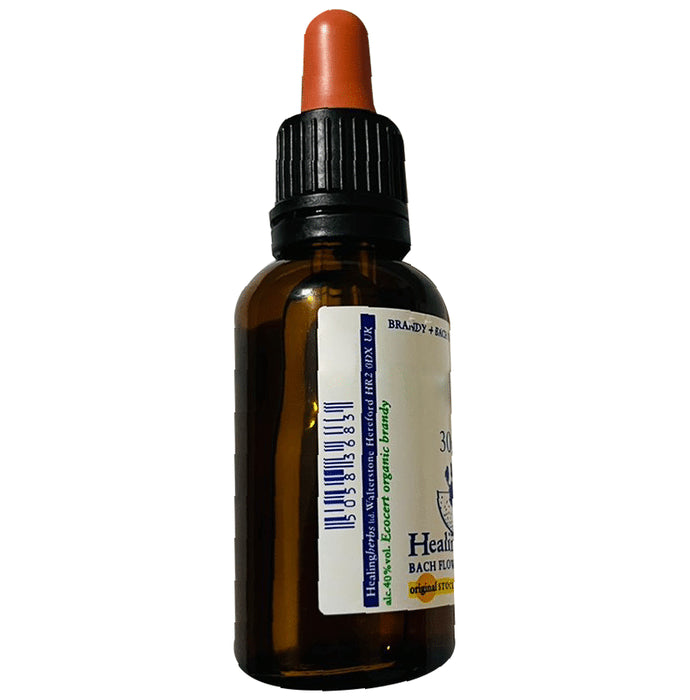 Healing Herbs Bach Flower Wild Rose