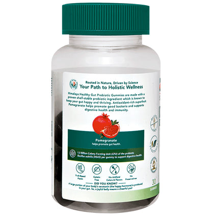 Himalaya Healthy Gut Probiotic Gummies Strawberry