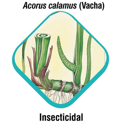 Himalaya Erina-EP Tick and Flea Control Shampoo (For Pets) Ecto Parasiticidal