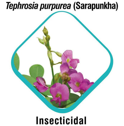 Himalaya Erina-EP Tick and Flea Control Shampoo (For Pets) Ecto Parasiticidal