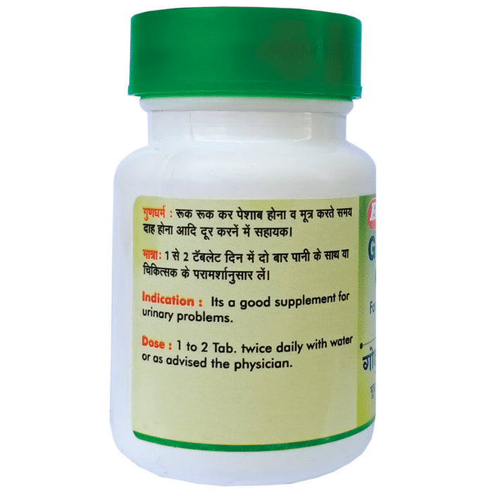 Baidyanath (Nagpur) Gokshuradi Guggulu for Urinary Health | Helps Manage Painful Micturition