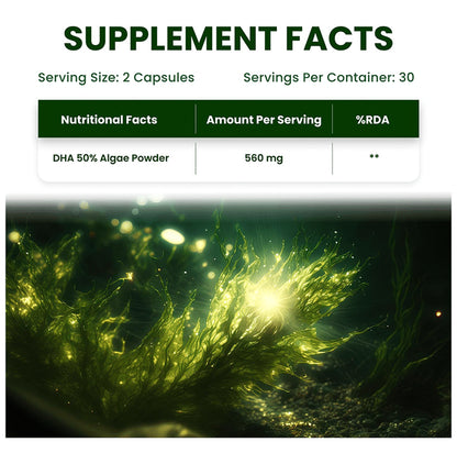 Himalayan Organics Vegan Omega 3-6-9 | Vegetarian Capsule for Eyes, Joints & Heart