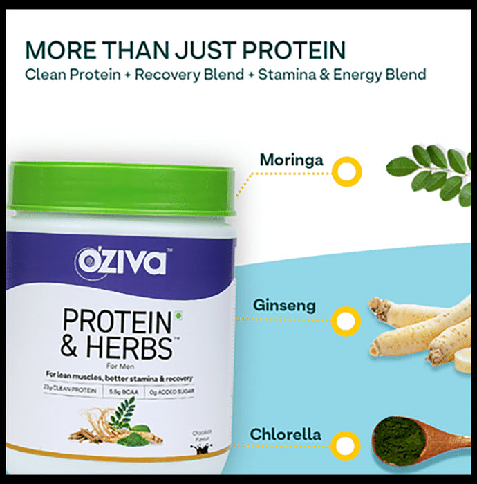 Oziva Protein & Herbs for Men | For Muscle Building, Stamina & Recovery | Chocolate