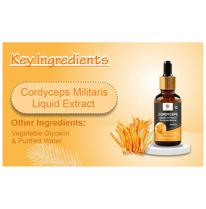 Mahogany Cordyceps Liquid Extract