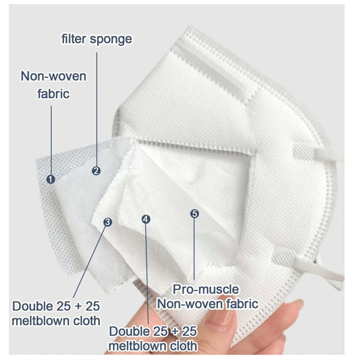 Medisafe N95 Face Mask with Headloop - PT