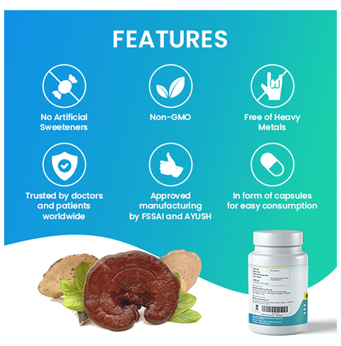 MediZen Reishi Mushroom Extract Capsule
