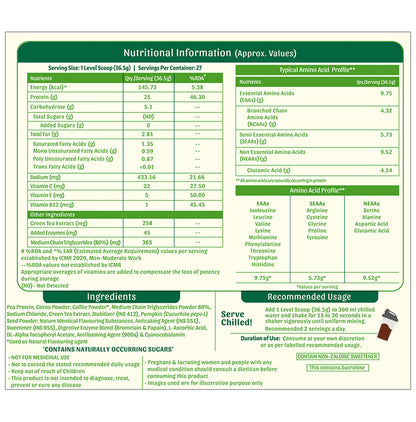 MuscleBlaze bGreen Plant Protein | For Muscle Gain, Immunity & Recovery | Powder Cafe Mocha with Shaker