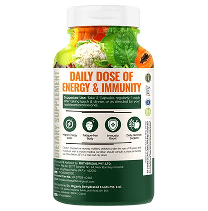 Nature Life Nutrition Plant Based Multivitamin Vegetarian Capsule