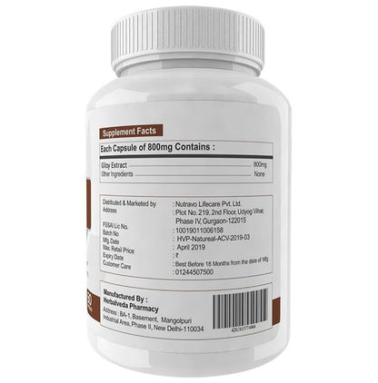 Natureal Giloy Extract 800mg Capsule