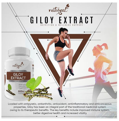Natureal Giloy Extract 800mg Capsule