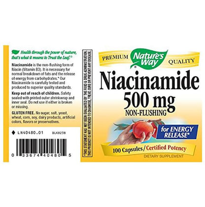 Nature's Way Niacinamide 500mg Capsule