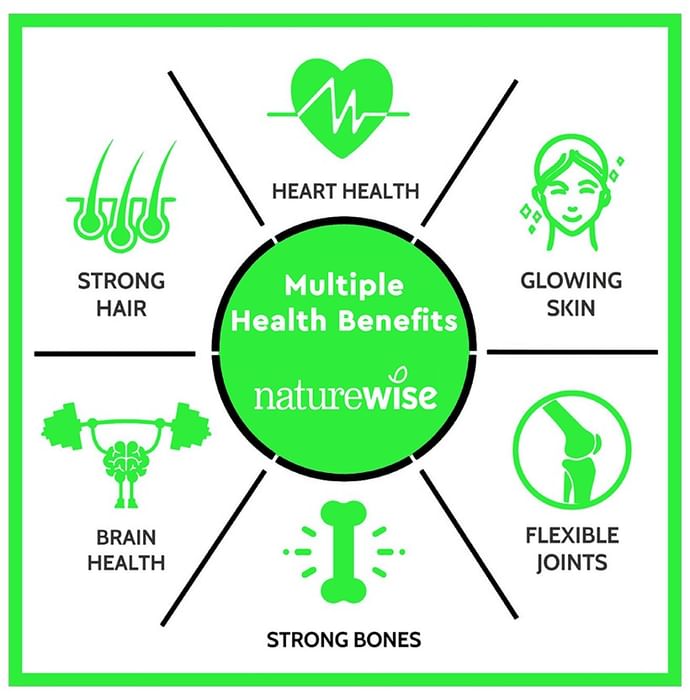 Naturewise Omega 3 Flex Seed Oil Softgel Capsule (60 Each)